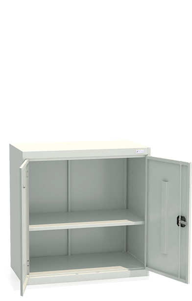 Шкаф архивный ШХА-N/2- 900(50) купить в Сыктывкаре