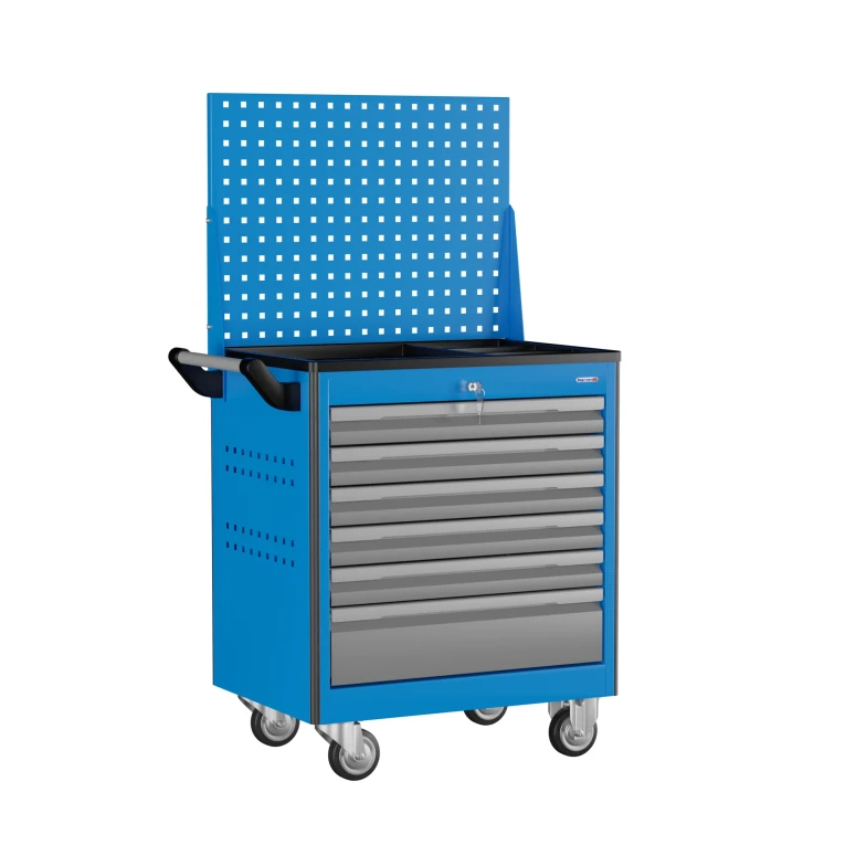 Тележка инструментальная TNC 795.6-1 купить в Сыктывкаре Тележка инструментальная TNC 795.6-1 купить в Сыктывкаре