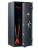 Оружейный сейф TIGER 70 купить в Сыктывкаре