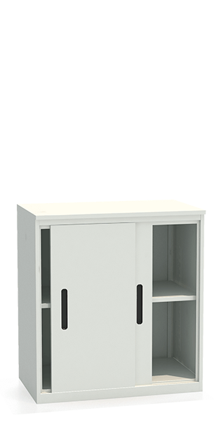 Шкаф-купе архивный ALS-8896 купить в Сыктывкаре