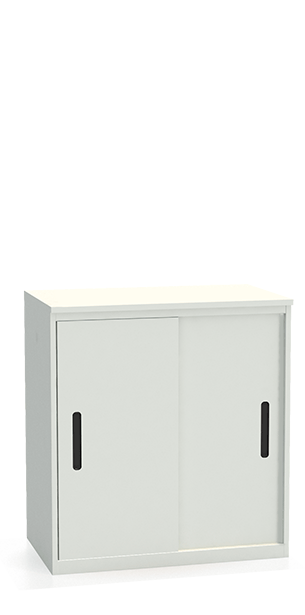 Шкаф-купе архивный ALS-8896 купить в Сыктывкаре